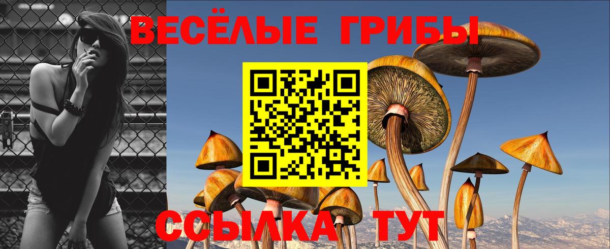 Псилоцибиновые грибы Psilocybine cubensis  Вход с VPN  Кемерово 